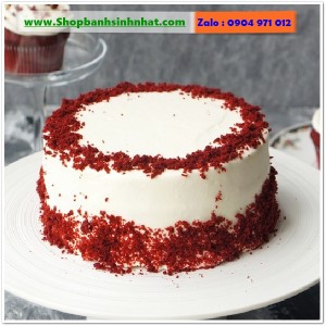 Bánh Sinh Nhật Tiramisu - T347